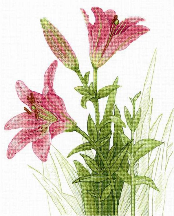 НВ-632 Набор для вышивания М.П.Студия "Нежные лилии"
