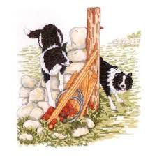 Набор для вышивания крестом Anchor "Боб и Свип" CSK307