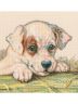 M711 Набор для вышивания РТО "Щенок"