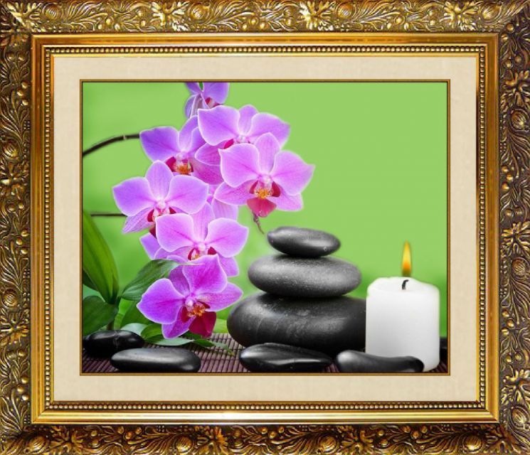 Алмазная мозаика Милато "Нежная орхидея" F-173 