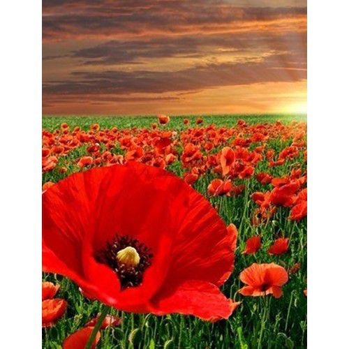 Алмазная мозаика Гранни "Маки" Ag4611