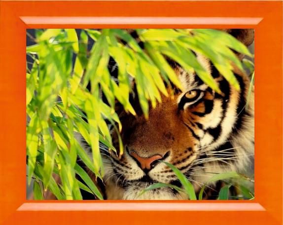 Алмазная мозаика Милато "Тигр в засаде" N-207