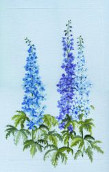 "Дельфиниум" (Derwentwater Designs)